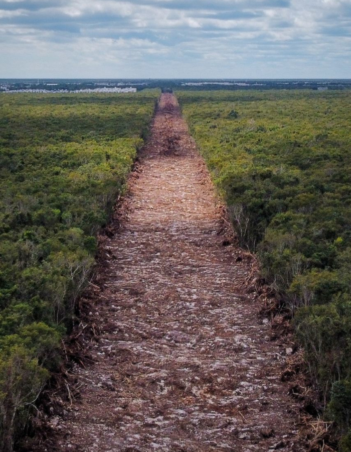 Imágenes de los trabajos del tramo 5 del Tren Maya, en Playa del Carmen, Quintana Roo.