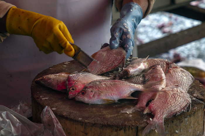 Vendedores De Pescado Ofrecen Sus Productos El De Abril De En El Mercado De Pescados Y Mariscos La Viga En Ciudad De México méxico