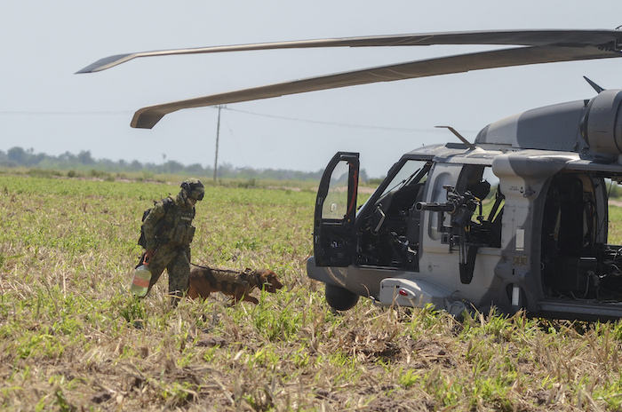 Un infante de la Marina de México y un perro entrenado abordan un helicóptero después de apoyar en el operativo donde fue capturado el narcotraficante Rafael Caro Quintero, cerca de Los Mochis, estado de Sinaloa, México, el viernes 15 de julio de 2022.