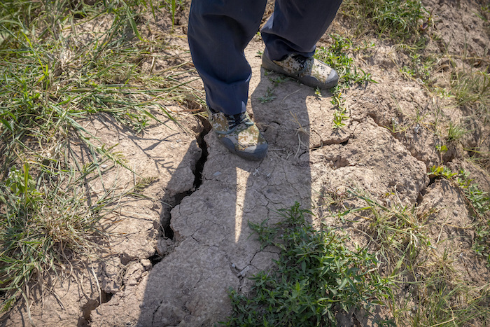 Un agricultor se para sobre una grieta profunda en lodo seco en campos de arroz en las afueras de Chongqing, China, el domingo 21 de agosto de 2022.