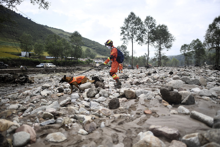 En esta foto proveída por la agencia noticiosa china Xinhua, un trabajador de rescate y su perro revisan entre os escombros dejados por inundaciones en la aldea de Shadai, en la provincia noroccidental de Qinghai, el 18 de agosto del 2022. 