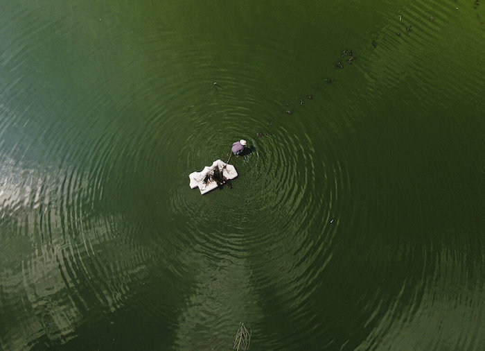 Juan Hernández tira de una balsa de poliestireno para cosechar ahuautle, los huevos del axayacatl, un tipo de insecto acuático, conocido como caviar mexicano, en el Lago Texcoco, cerca de Ciudad de México, el martes 20 de septiembre de 2022. Para Hernández, es un trabajo duro y sucio que pocos están dispuestos a hacer ya.