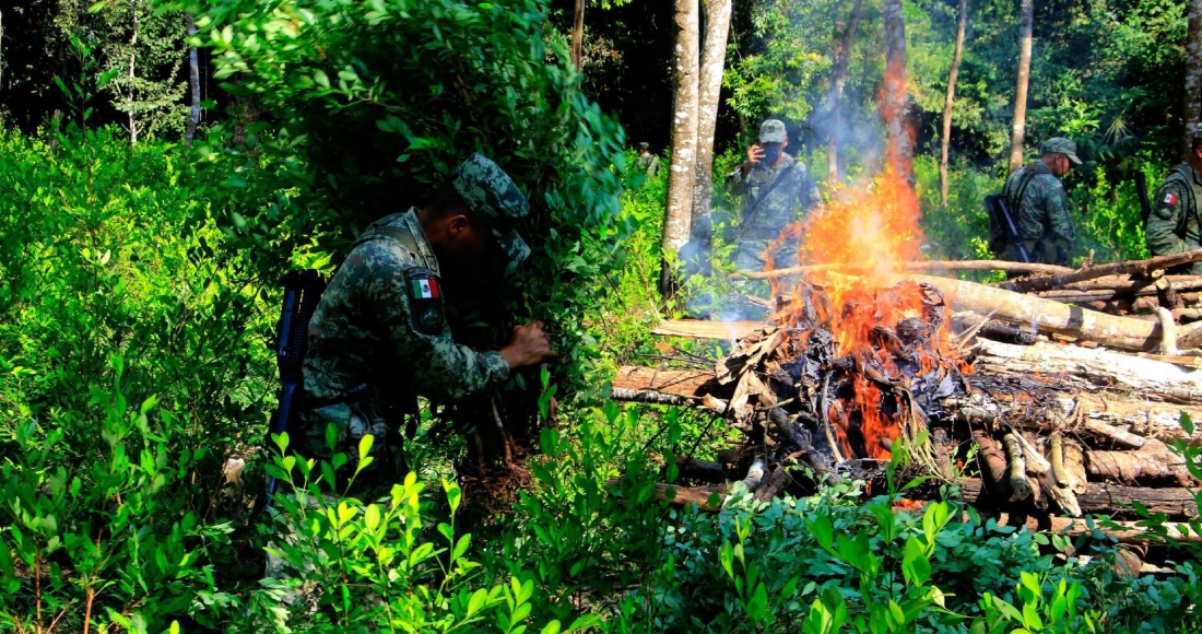 El pasado 13 de diciembre 2022, fue destruida una hectárea de plantío de coca. El Ejército encargado del operativo señaló que este año ellos han destruido más de 70 en el estado de Guerrero.