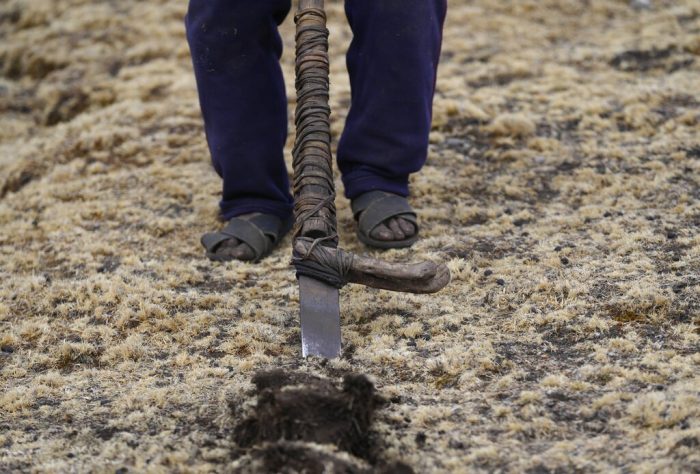 Un hombre remueve la tierra para sembrar papas en la comunidad de Cconchaccota en la región Apurímac de Perú, el sábado 26 de noviembre de 2022. 