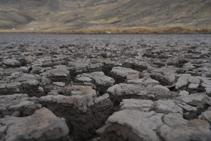 Una corteza seca en el lecho de la laguna de Cconchaccota en la región Apurimac de Perú, el viernes 25 de noviembre de 2022. 