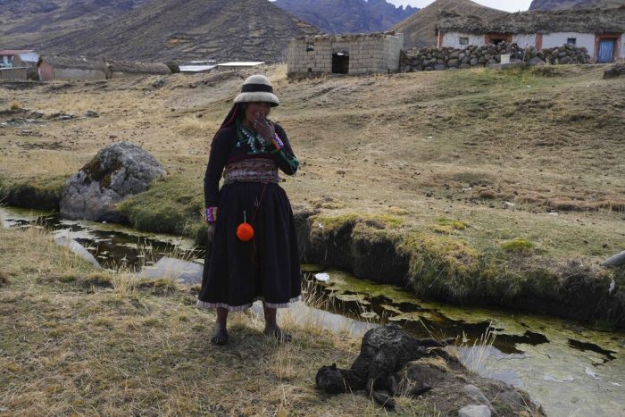 Una mujer se para cerca de un manantial junto a una oveja muerta en la comunidad de Cconchaccota en la región de Apurímac en Perú, el viernes 25 de noviembre de 2022. 