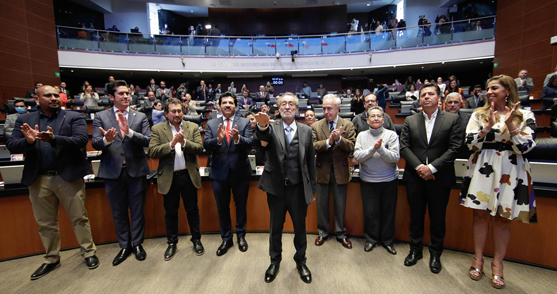 Alejandro Bichir Batres, Cámara de Senadores