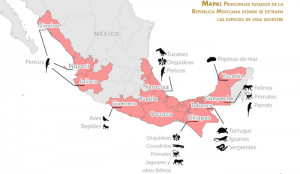 Mapa de los principales estados de la República donde se extraen animales silvestres. Gráfico: Centro para la Diversidad Biológica