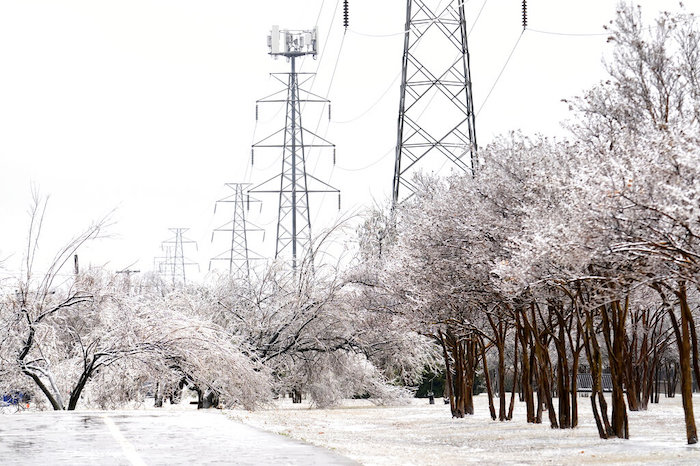 Un camino nevado junto a árboles cubiertos de nieve y hielo, el jueves 2 de febrero de 2023, en Dallas, Texas.