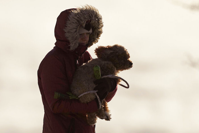 Una mujer carga a su perro en medio de un intenso frío en Portland, Maine, el sábado 4 de febrero de 2023. 