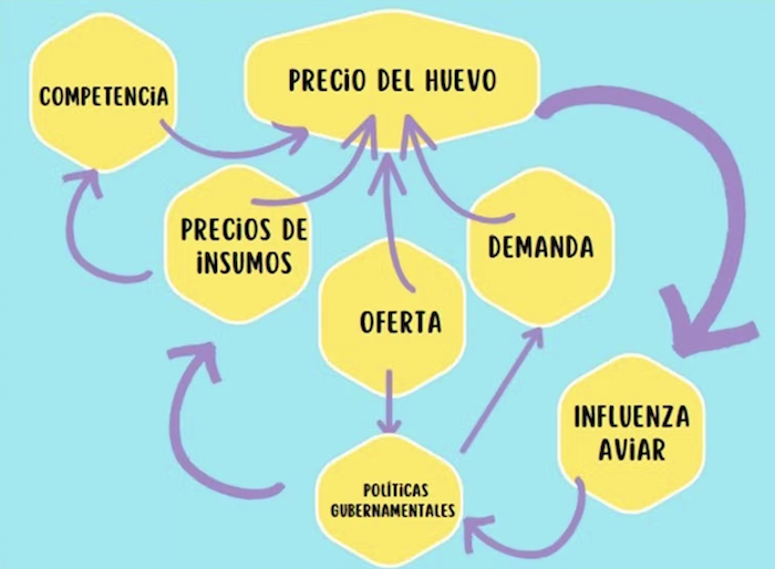 Diagrama de variables que afectan al precio de los huevos.