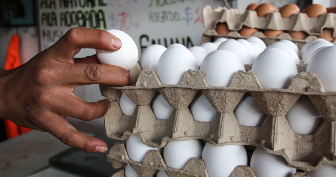 La economía mexicana se ha visto afectada por el incremento sostenido en los precios de los productos de la canasta básica. Entre ellos, destaca el aumento del precio de los huevos, un alimento fundamental en la dieta de los mexicanos.