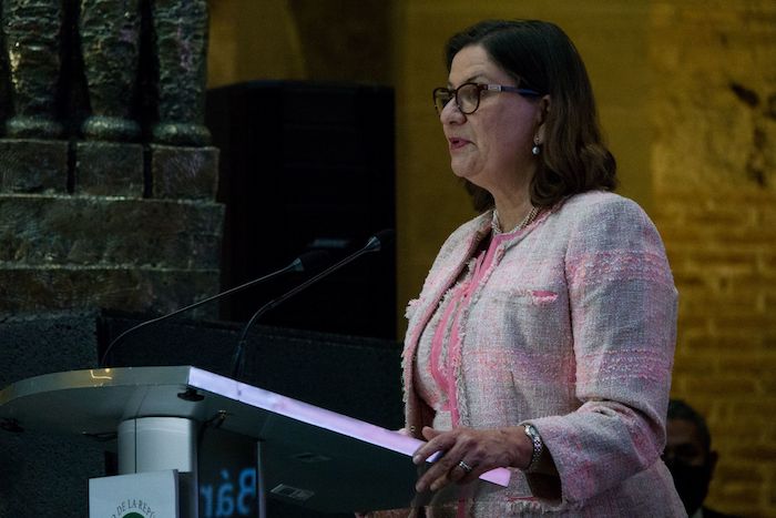 Martha Bárcena, diplomática de carrera que fue Embajadora de México en Estados Unidos durante los primeros dos años de la Presidencia de López Obrador y los últimos dos de Trump, cree que ni el propio Marcelo Ebrard ha tenido como prioridad la política exterior.