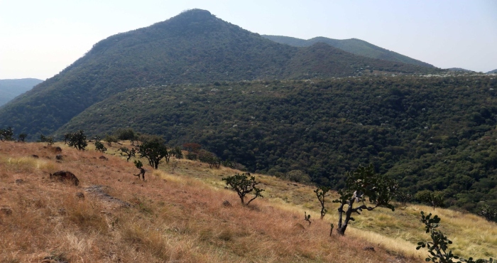 La minera canadiense Álamos Gold impulsa un proyecto minero en los municipios de Temixco y Xochitepec que afectara a 200 mil habitantes.