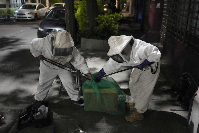 Adriana Velíz (derecha) y Lucy Millán, vestidas con trajes especiales para protegerse de picaduras, terminan de rescatar una colmena que las abejas formaron dentro de la base de un poste de luz en la Ciudad de México, el jueves 8 de junio de 2023.