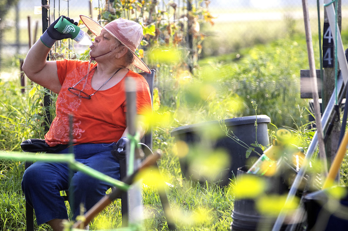 Marti Syring bebe para hidratarse mientras en el jardín para adultos mayores del condado Montgomery el viernes 16 de junio de 2023 en Conroe, Texas.