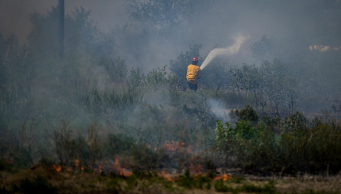 Un bombero apunta un chorro de agua hacia un lugar de maleza incendiada atrás de propiedad residencial en Kamloops, Columbia Británica, el lunes 5 de junio de 2023. Foto: Darryl Dyck, The Canadian Press, AP