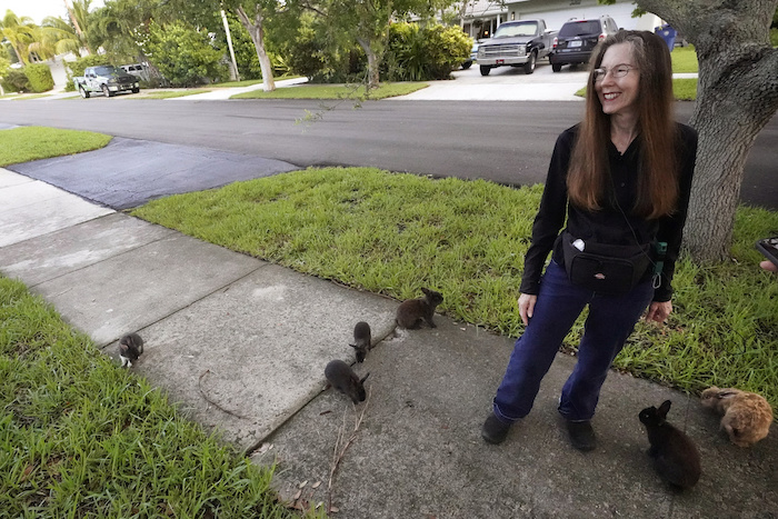 Alicia Griggs mira a los conejos delante de su casa durante una entrevista el martes 11 de julio de 2023 en Wilton Manors, Florida.