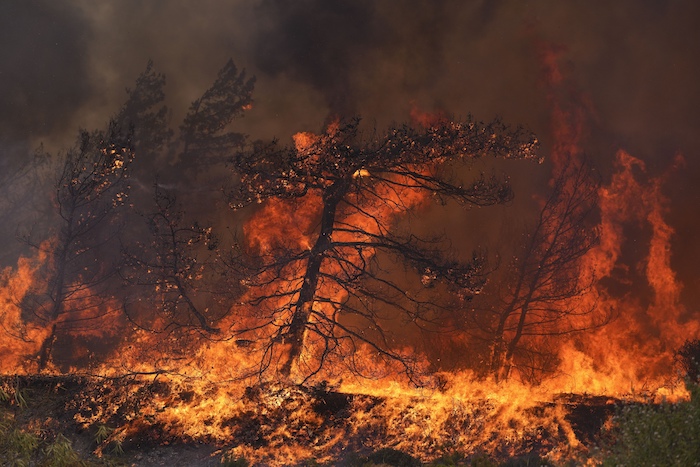 Arde la aldea de Vati en un bosque de la isla de Rodas, en el mar Egeo, Grecia, martes 25 de julio de 2023.