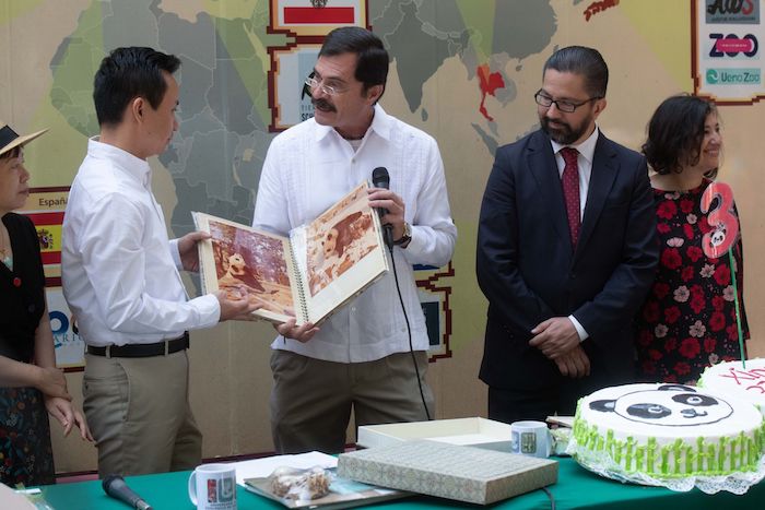 Fernando Gual Sill, director general de Zoológicos y Conservación de la Fauna Silvestre de la Ciudad de México, afirmó que el personal del zoológico se enorgullece de la longevidad de Xin Xin y de haber cuidado pandas gigantes desde hace 48 años.