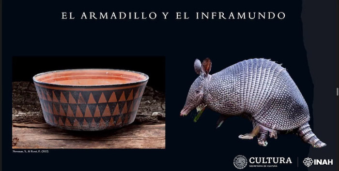 La predominancia de huesos de armadillo en el contexto subacuático asociaría al animal con el inframundo.