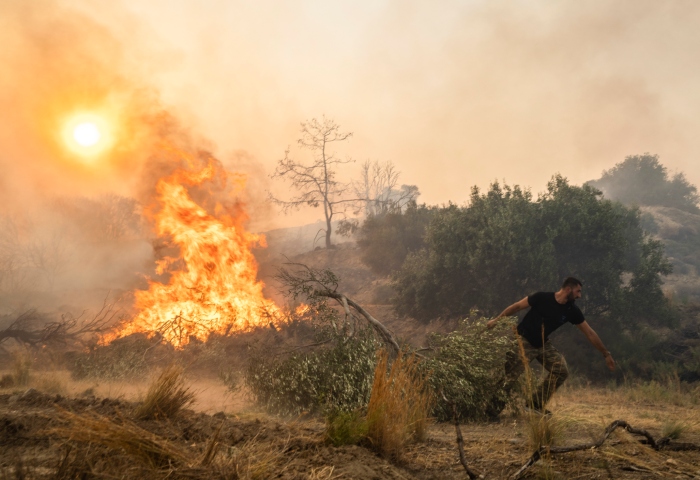 Ilias Kyriakou, de 25 años, arrastra una rama de olivo mientras un incendio quema parte de la localidad de Gennadi, en la isla de Rodas, en el sureste de Grecia, el 25 de julio de 2023. Foto: Petros Giannakouris, AP