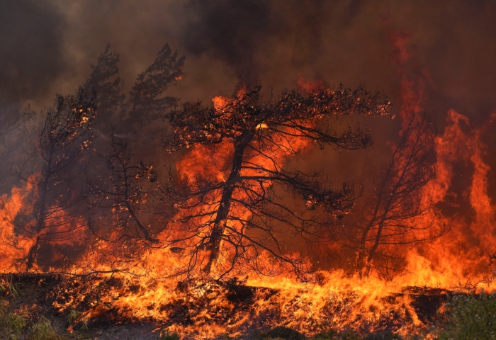 Las llamas arrasan un bosque en la localidad de Vati, en la isla de Rodas, en el sureste de Grecia, el 25 de julio de 2023. Foto: Petros Giannakouris, AP