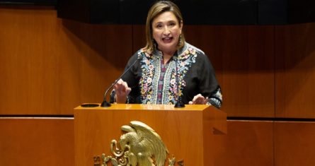 La Senador Xóchitl Gálvez, del PAN.