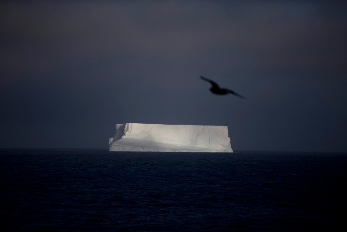 Un iceberg flota en la Bahía Almirantazgo, cerca de la Isla Livingston, parte del archipiélago de South Shetland en la Antártida el 27 de enero de 2015. Foto: Natacha Pisarenko, AP