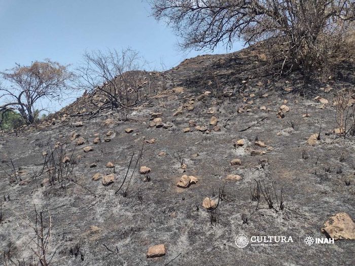 Descubren importante sitio en la Costa Grande de Guerrero.