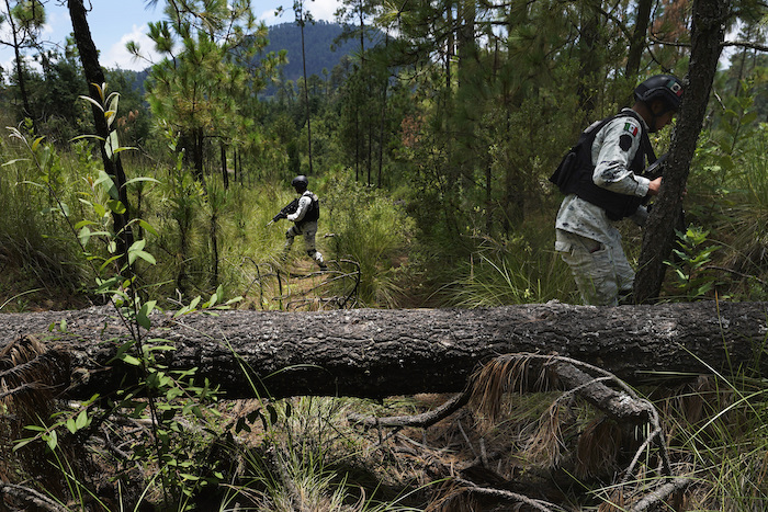 Elementos de la Guardia Nacional protegen a agricultores mientras estos plantan pinos el 13 de agosto de 2023 en un área deforestada recientemente, en el pueblo de San Miguel Topilejo, al sur de la Ciudad de México.