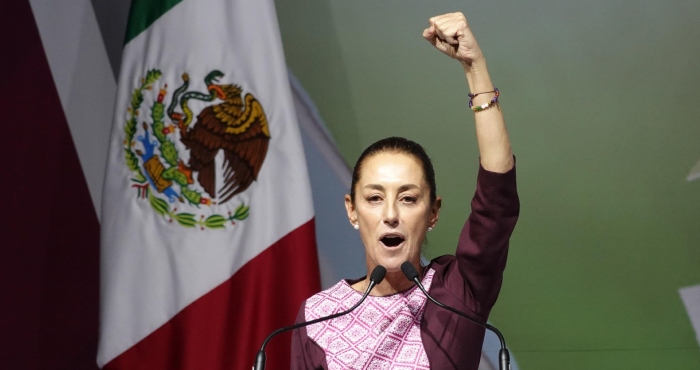 Claudia Sheinbaum, Coordinadora de los Comités en Defensa de la Cuarta Transformación.