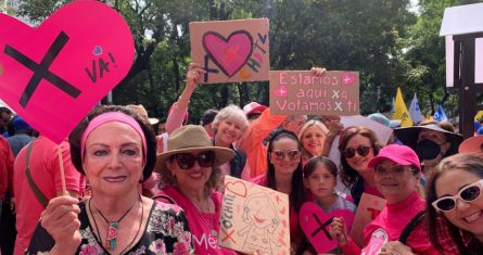 Alrededor del Ángel de la Independencia se concentraron agrupaciones con banderas del PRI, PAN y PRD, así como con prendas rosas características de la autodenominada “marea rosa” promovida por las asociaciones civiles Unid@s y Sí por México, que a su vez se formaron con el apoyo del empresario Claudio X. González.