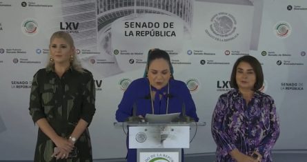 Legisladoras de Tabasco, Guanajuato y Yucatán, el Senador de Chiapas Eduardo Ramírez, así como la expresidenta del Sistema DIF y exesposa del Gobernador de Puebla, Miguel Barbosa, Rosario Orozco, son algunas de las aspirantes a las candidaturas. Foto: captura de pantalla