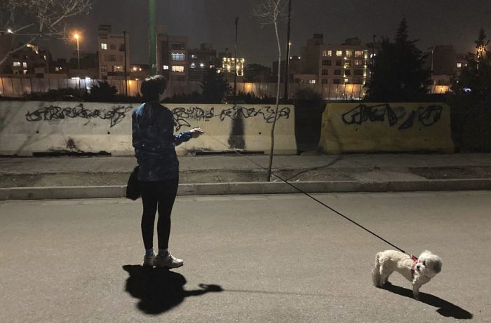 Una mujer iraní sin el velo obligatorio pasea su perro en un parque donde el grafitti contra el Gobierno está tapado con pintura negra, 6 de marzo de 2023.