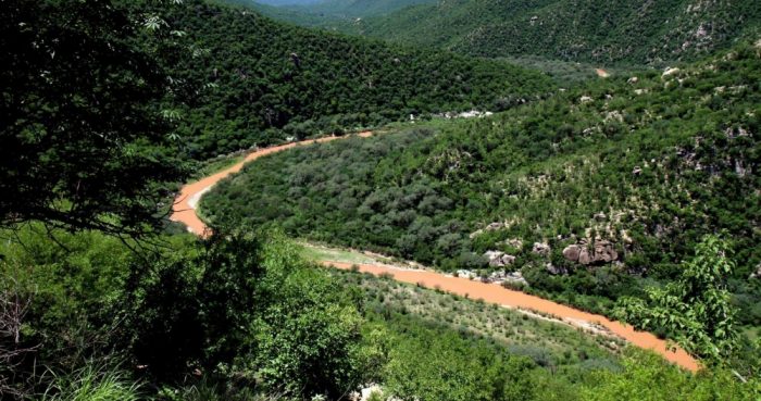 El Río Sonora, contaminado por el derrame de unos 40 millones de litros (10 millones de galones) de relaves que contenían sulfato de cobre y metales pesados de la mina de cobre Buenavista, recorre las montañas el 12 de agosto de 2014 cerca de la localidad de Mazocahui, en el estado norteño de Sonora, México.