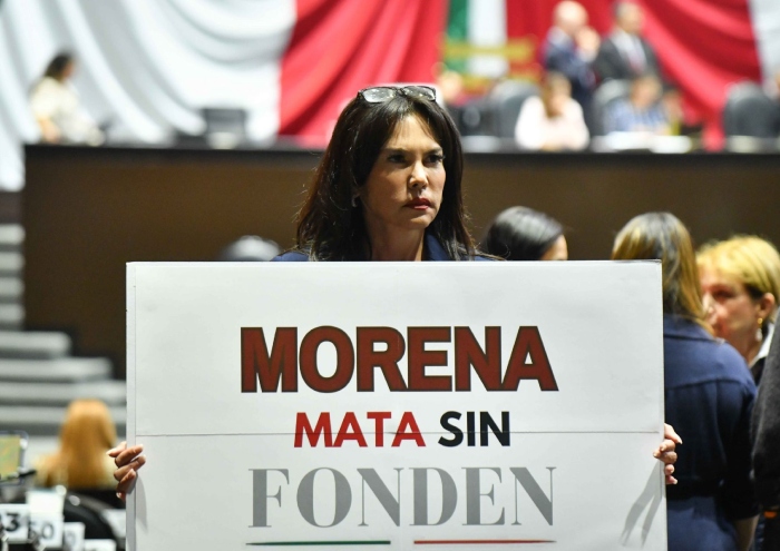 María Teresa Castell, Diputada del Partido Acción Nacional (PAN), muestra una cartulina con la frase "Morena mata sin Fonden" durante la sesión ordinaria de la Cámara de Diputados.