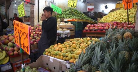 En el mercado Adolfo López Mateos se puede encontrar a la venta productos de la tierra caliente como son los capulines y tamales de la misma fruta conocida como la cereza mexicana, también insectos como jumiles y chapulines.