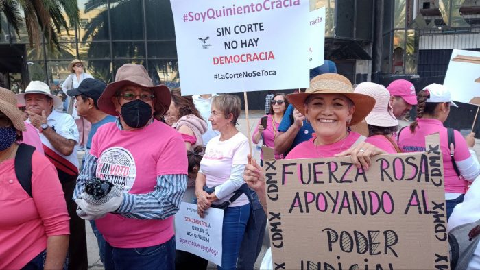 Las organizaciones que se sumaron este domingo en defensa del Poder Judicial son las mismas que en enero y febrero pasado salieron a las calles para defender al Instituto Nacional Electoral (INE): Frente Cívico Nacional, Sí por México, Unidos, Sociedad Civil México, UNE, Poder Ciudadano, Unidos por México, Chalecos México, entre otras.