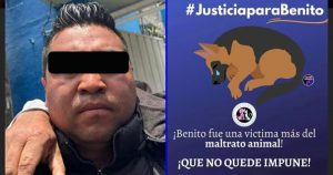 Una Jueza declaró culpable a Sergio "N" por el delito de maltrato animal contra el perro "Scooby". Foto: Facebóok Peludos Desamparados