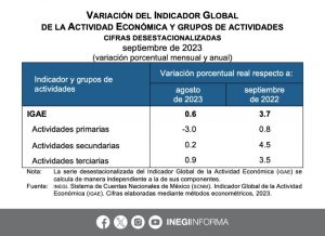 El Instituto Nacional de Geografía y Estadística (Inegi) publicó esta mañana el informe mensual del Indicador Global de la Actividad Económica (IGAE).