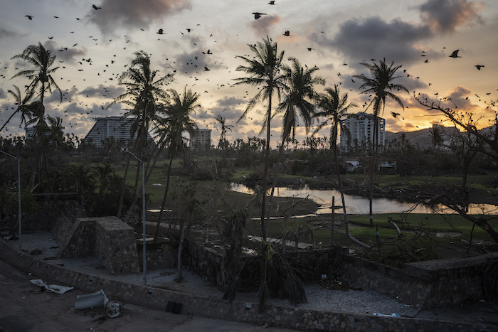 Los pájaros vuelan sobre los escombros después del paso del huracán "Otis" en Acapulco, México, el sábado 28 de octubre de 2023.