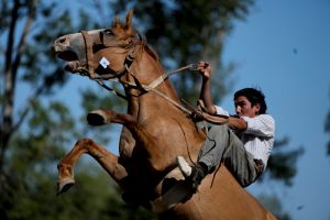 Un hombre monta un caballo rampante durante un rodeo en Chascomus, Argentina, el 26 de febrero de 2023