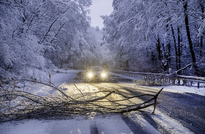 Árboles caídos bloquean una carretera de montaña en un bosque de la región de Taunis cerca de Fráncfort, Alemania, durante nevadas la madrugada del martes 28 de noviembre de 2023.