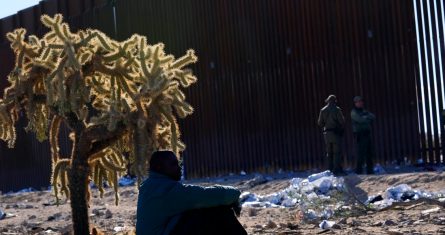 Un migrante se sienta a la sombra de un cactus saltarín del desierto, mientras se une a cientos de migrantes reunidos a lo largo de la frontera, el martes 5 de diciembre de 2023 en Lukeville, Arizona.