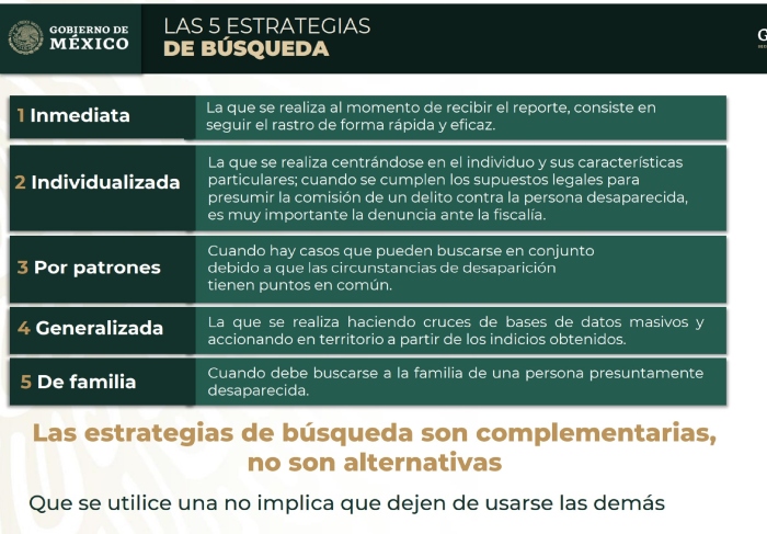 Las estrategias de búsqueda son complementarias, no alternativas, expresó Luisa María Alcalde durante su exposición. Foto: Especial