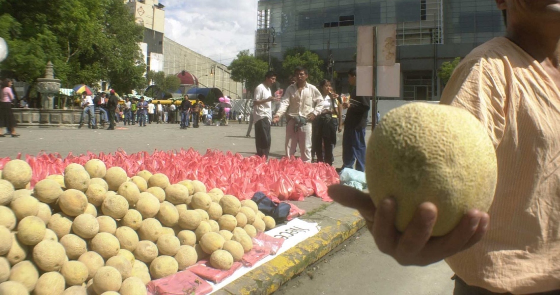 La Comisión Federal para la Protección contra Riesgos Sanitarios (Cofepris) informó que realiza vigilancia sanitaria puntual en melones posiblemente contaminados con Salmonella, pues Canadá y Estados Unidos reportaron la detección de esta bateria en melón cantaloupe (Cucumis melo) procesado en el estado de Sonora. 