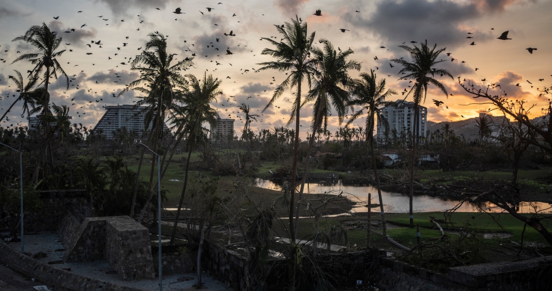 Pájaros volando sobre los escombros que dejó el huracán "Otis" en Acapulco, México, el 28 de octubre de 2023.