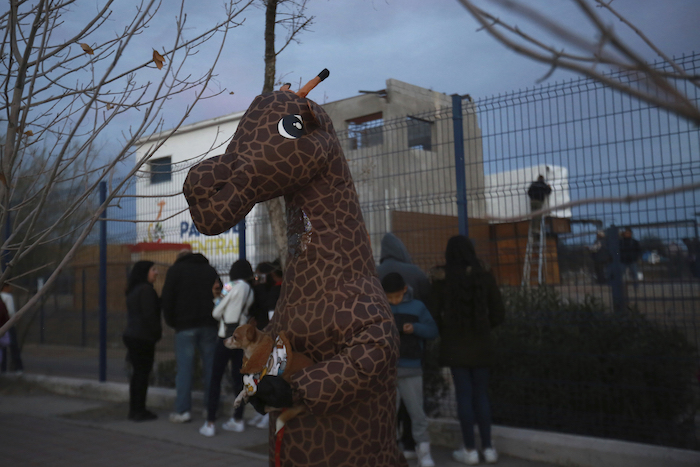 Fans de la jirafa Benito en el zoológico estatal Parque Central antes de su traslado a un nuevo hábitat, en Ciudad Juárez, México, el domingo 21 de enero de 2024.