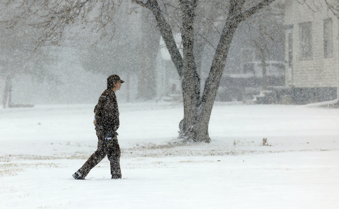 Un empleado de UPS entrega un paquete en la nieve el lunes 8 de enero de 2024, en Palmer, Nebraska.